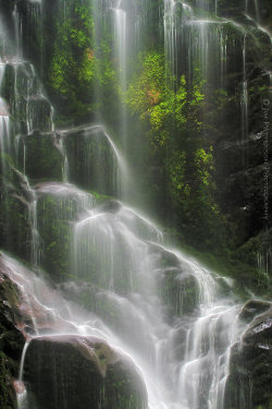 The sound of falling water (Berry Creek Falls, California)