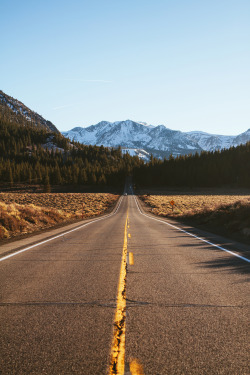 thecraziethewizard:  Highway 158, Eastern Sierra  by Jeremiah