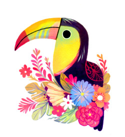 t-price:  toucan 
