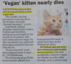Don’t try to make everyone a Vegan.   I’m part cat.