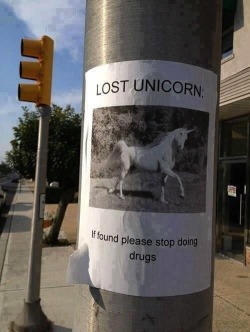 divaneee:  Lost unicorn 