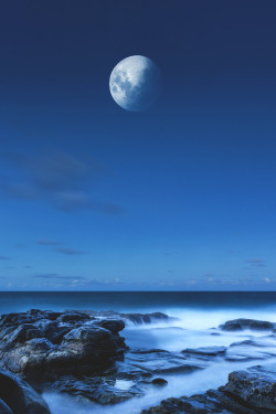 wavemotions:  blue moon