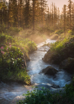 coiour-my-world:  “Where icy waters flow” | Ergaki mountains