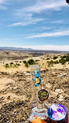 leafykief:sandy viewss