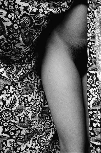bellezanatural11:  “Flowers” from the photo essay Nudes by Nazak Pahlavi, 2003. Nazak Pahlavi was born in Tehran in 1958. She is the daughter of Hamid Reza Pahlavi, the brother of the former Shah. During the1978 revolution, she was studying