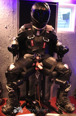 crewbiker:  A sport biker (Rocket Pup) held nice and secure in