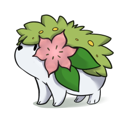 mega-luxrite:  Made a Shaymin doodle!! ;v;Both Shaymin are now