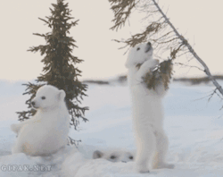 Dancing Through It-NSFW