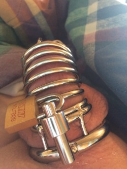 kinkygayvirgin:  Day two of chastity… switch cages yesterday