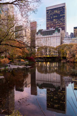 r2–d2:  Central Park in the fall 