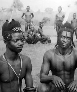 ukpuru:  Young men of the ogbolo age-grade, with uli and fine