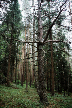  National Park Sumava, Czech Republic by Ondrej Garfunkel 