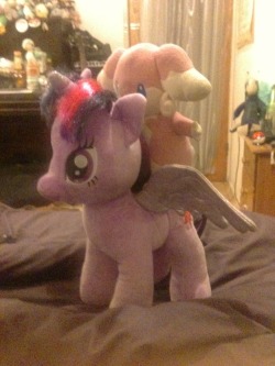 I bought a baloney pony