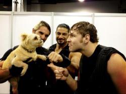 sheamuslover:  litafan4ever:  OMG The Shield and Lita’s doggy