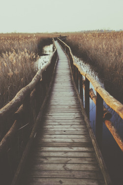 elenamorelli:  { on this lonely boardwalk }