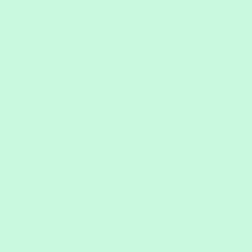 automaticpastels:  pastel 26089 - #c9f9df