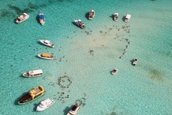 sixpenceee:  Stingray City, Grand CaymanStingray City is an area