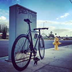 roadbikecity:  #StateBicycle #fixie #ExploreYourState  (at Road