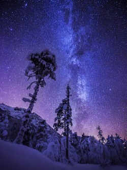 themagicofreality:  Shining Bright, Stars over Norway
