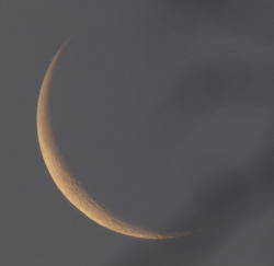 spaceexp:  Waning Crescent, 8% of the Daylight Moon is Illuminated