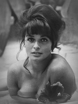 magicofoldies:  Senta Berger