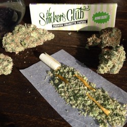 thesmokersclubhouse:  Sour Diesel snakes in this Sour Diesel