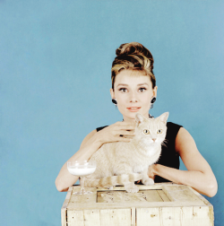 vintagegal:  Audrey Hepburn photographed by Howell Conant for