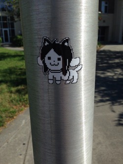 famaululat:  Oh my god temmie made it to college 