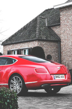 fullthrottleauto:  Photoshoot Bentley Continental GT Speed (for