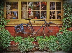 blogblogblooog:  Street Bike by cmhedley