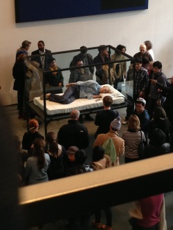 blackberryvision:  Tilda Swinton asleep in a glass box at the