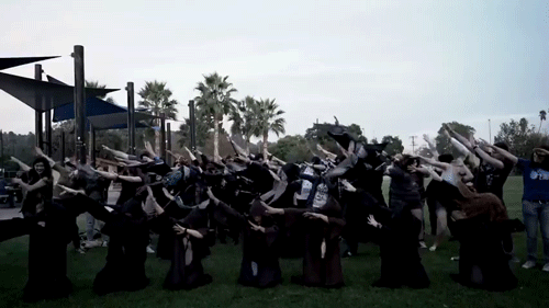 COMMUNITY PHOTO GOAL
