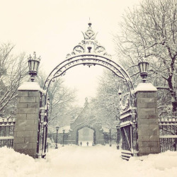 uchicagoadmissions:  Today is a winter wonderland in Chicago.