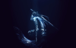 reaper23sf:  Knight Artorias, the Abysswalker. One of the greatest