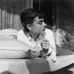 ughpal:  ladyaudreys: Audrey Hepburn photographed by Michael