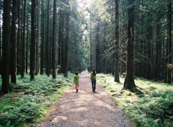 m4rkh0ppusss:  endless path by danka.peter on Flickr.