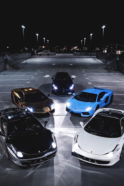 linear5000:   wearevanity:  458 X Aventador X FF •       (via