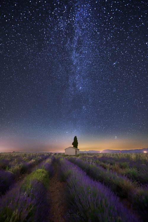 renamonkalou:    Milky Way indulged in lavender scent | Brialex