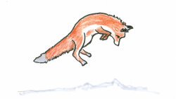 wnycradiolab:  The secrets of snow-diving foxes, revealed (and