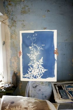 chelliswilson:  rinne allen in her studio jennifer causey photography