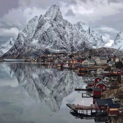 catta91:  Lofoten Islands, Norway 