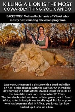 ohheysarahc:  aggressica:  This is important. Stop big cat hunting.