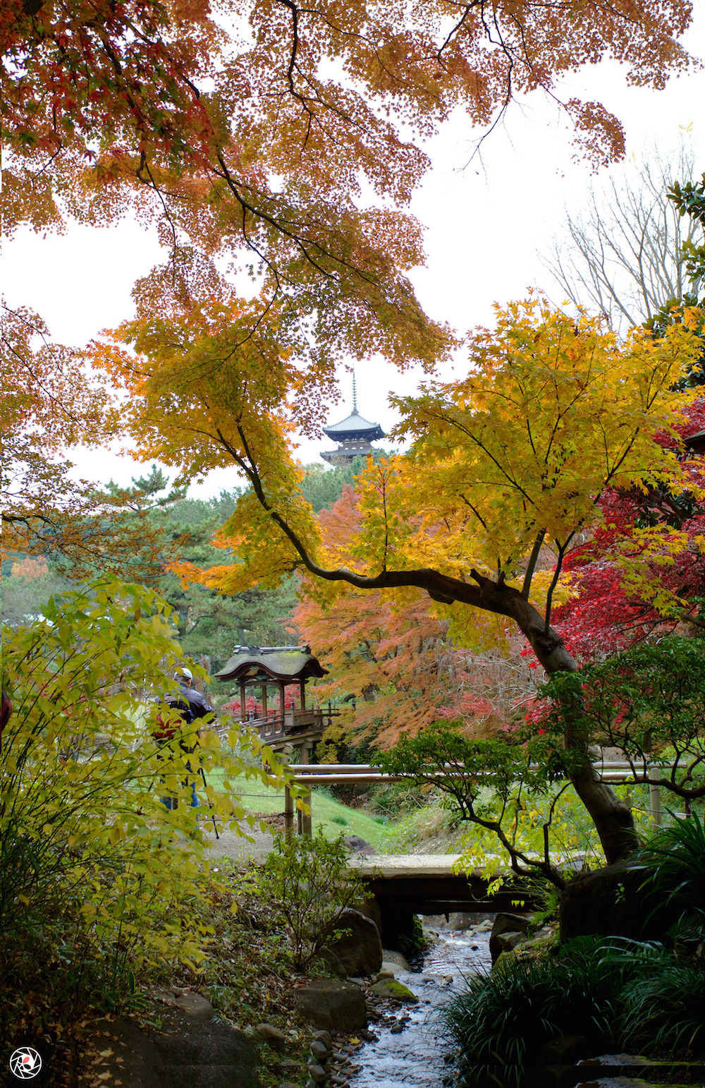 <p><b>Vertical landscape, at Sankeien Garden in Yokohama Japan.</b></p>