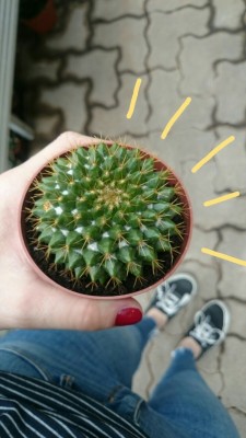 r-egenapplaus:  found this little friend at the greenhouse today🌞