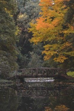 renamonkalou: The Bridge  📷   Alex Mihis