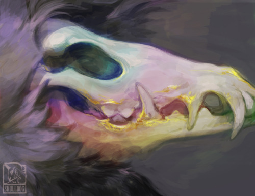 skulldog:   Started as a 30 minute warmup sketch skulldog, and
