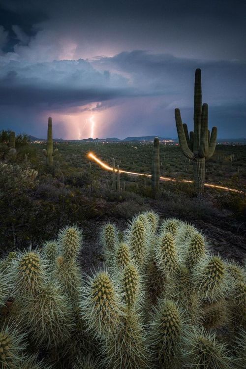 j-k-i-ng:“Storm Pathway” by | Michael ShainblumSedona, Arizona,