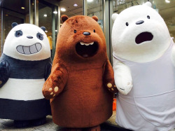 Bear Bros hanging out at Kiddy Land Harajuku Shop, Japan! 