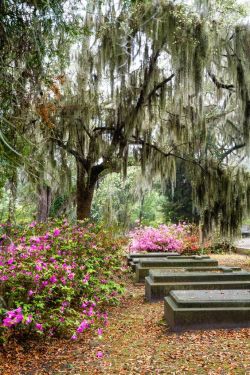 coisasdetere:   Bonaventure Cemetery, Savannah, Georgia. 