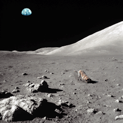 ufo-the-truth-is-out-there:  Moon Rover: Submission by u-f-o
